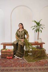 Kajal Parrot (Stitched 3 Pcs)