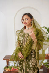 Kajal Parrot (Stitched 3 Pcs)