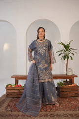Payal Gray (Stitched 3 Pcs)