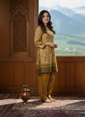 Lustrous Silk Farshi-Shalwar (Stitched 2 Pcs)